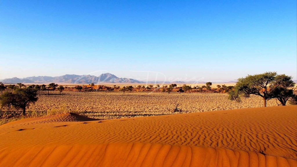 Kalahari