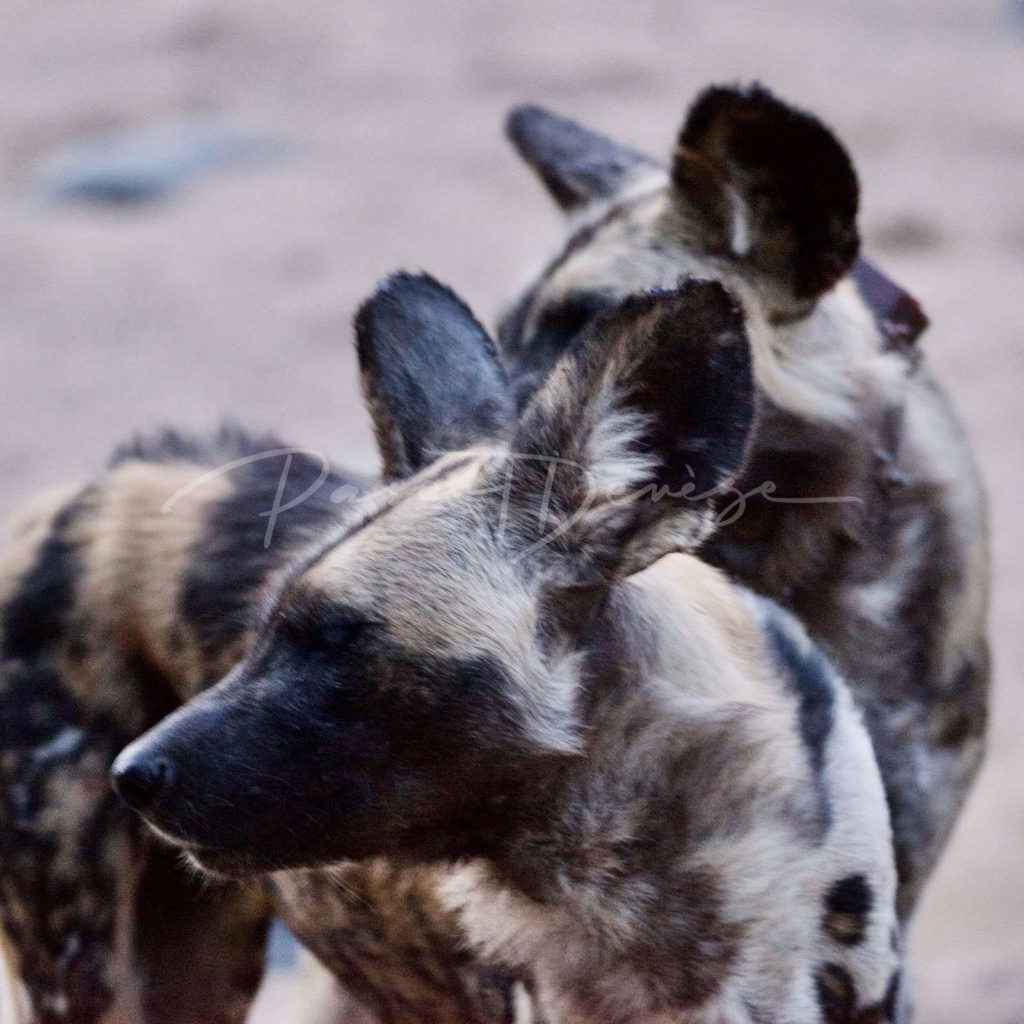 Regard commun